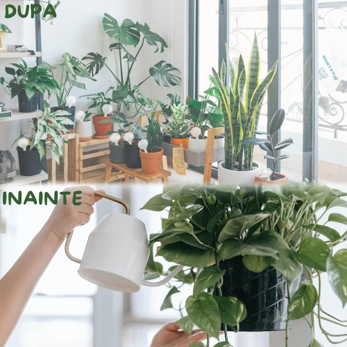 Set 8 irigatoare VarioShop®, pentru flori, plante de gradina, ghivece si plante de interior, irigare lenta, ideal pentru vacante, Transparent [6]