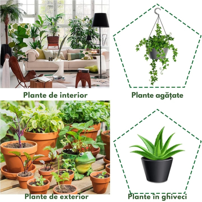 Set 8 irigatoare VarioShop®, pentru flori, plante de gradina, ghivece si plante de interior, irigare lenta, ideal pentru vacante, Transparent [3]
