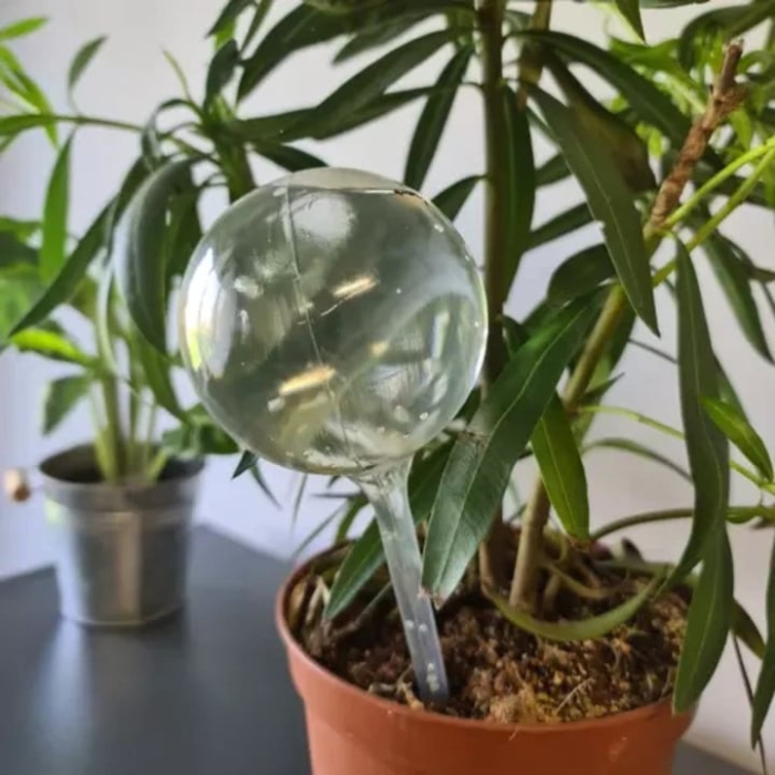 Set 8 irigatoare VarioShop®, pentru flori, plante de gradina, ghivece si plante de interior, irigare lenta, ideal pentru vacante, Transparent [7]