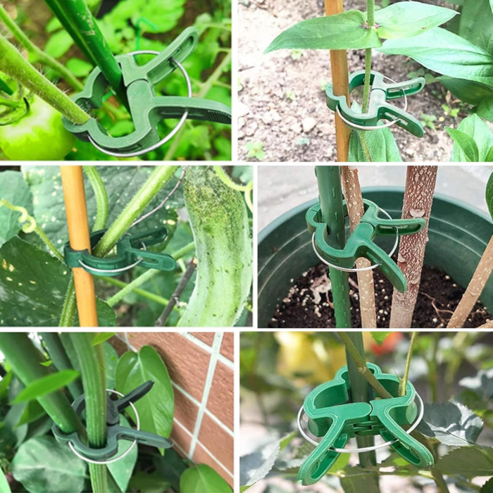 Set de cleme pentru plante 108 piese VarioShop®, doua dimensiuni, rezistente la intemperii, ideale pentru sustinerea si protejarea plantelor din gradina si ghivece, Verde [18]