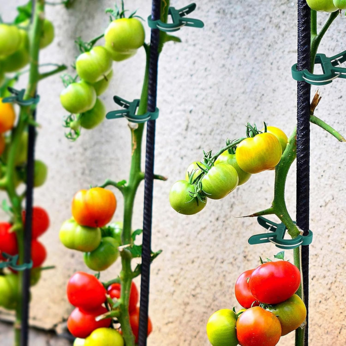 Set de cleme pentru plante 108 piese VarioShop®, doua dimensiuni, rezistente la intemperii, ideale pentru sustinerea si protejarea plantelor din gradina si ghivece, Verde [4]