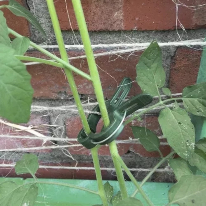 Set de cleme pentru plante 108 piese VarioShop®, doua dimensiuni, rezistente la intemperii, ideale pentru sustinerea si protejarea plantelor din gradina si ghivece, Verde [13]