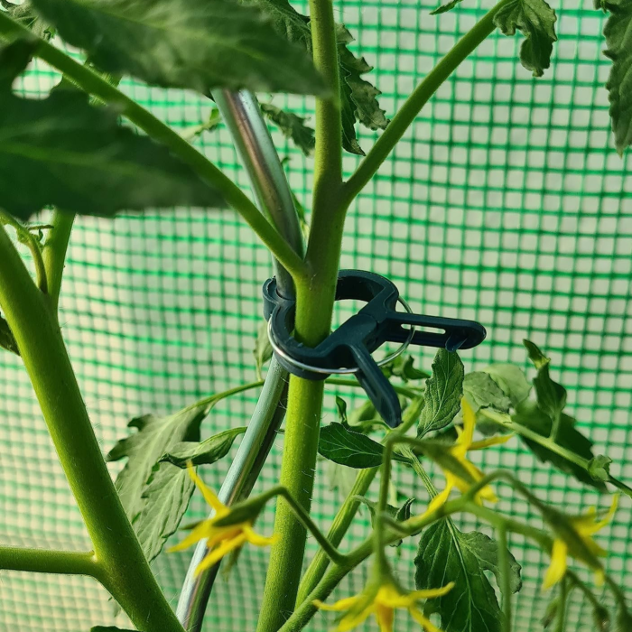 Set de cleme pentru plante 108 piese VarioShop®, doua dimensiuni, rezistente la intemperii, ideale pentru sustinerea si protejarea plantelor din gradina si ghivece, Verde [15]