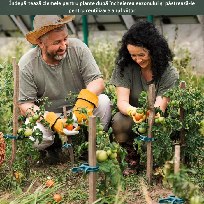 Set de cleme pentru plante 108 piese VarioShop®, doua dimensiuni, rezistente la intemperii, ideale pentru sustinerea si protejarea plantelor din gradina si ghivece, Verde [6]