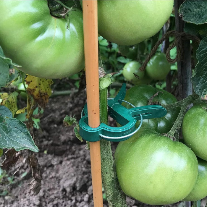 Set de cleme pentru plante 108 piese VarioShop®, doua dimensiuni, rezistente la intemperii, ideale pentru sustinerea si protejarea plantelor din gradina si ghivece, Verde [14]