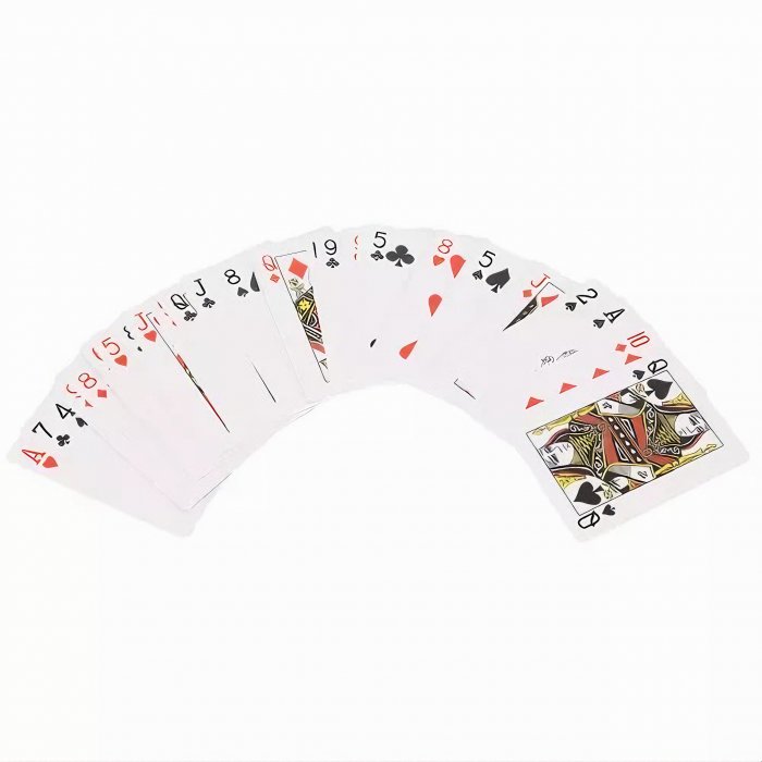 Set de Joc Poker Deluxe XXL VarioShop®, Ideal pentru Texas Holdem cu 500 Jetoane, Include 5 Zaruri, 2 Seturi de Carti, Echipat cu Servieta Securizata din Aluminiu, Argintiu [42]