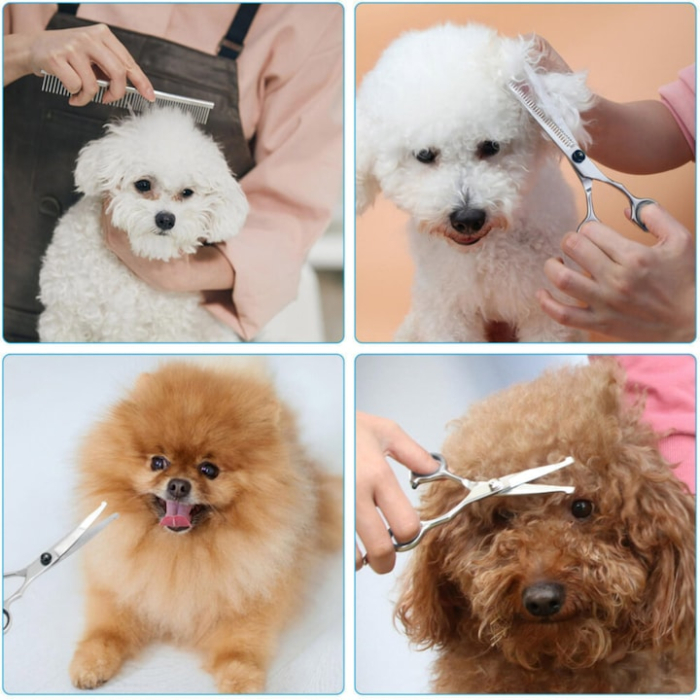 Set profesional foarfece pentru ingrijirea cainilor VarioShop®, foarfece drepte, pentru subtiere si curbate, accesorii incluse, husa [3]