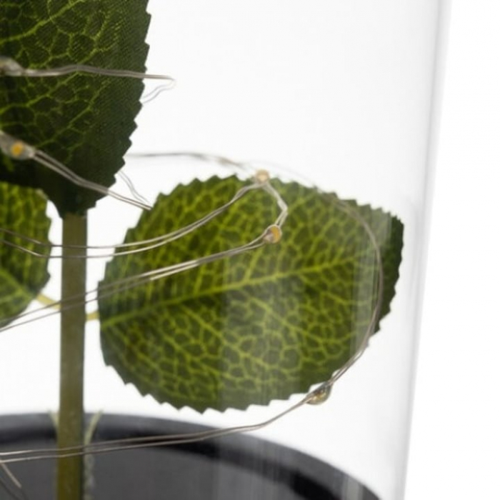 Trandafir rosu criogenat VarioShop®, in cupola de sticla, iluminat LED, include 100 de petale de trandafir, cutie de cadou, funda, pe blat negru, ideal pentru evenimente speciale, dimensiuni 22 x 11 c [16]