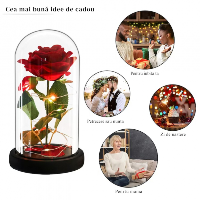 Trandafir rosu criogenat VarioShop®, in cupola de sticla, iluminat LED, include 100 de petale de trandafir, cutie de cadou, funda, pe blat negru, ideal pentru evenimente speciale, dimensiuni 22 x 11 c [19]