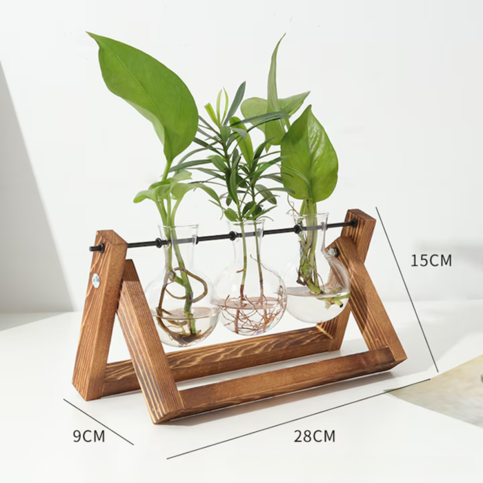 Vaza Hidroponica Varioshop, 3 Ghivece Sticla Transparenta, Suport Lemn Natural Pliabil, 28x13.5 cm, Cultivare Plante Fara Pamant, Maro/Transparent [2]
