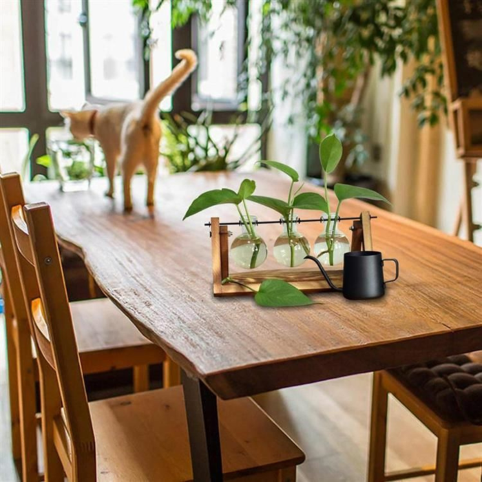 Vaza Hidroponica Varioshop, 3 Ghivece Sticla Transparenta, Suport Lemn Natural Pliabil, 28x13.5 cm, Cultivare Plante Fara Pamant, Maro/Transparent [4]