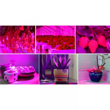 Lampa UV pentru Cresterea Plantelor pentru Interior VarioShop®, Stil Panou cu 225 de LED-uri, 36 W, Sistem de Montare, 31 x 31 x 3.5 cm, Argintiu [9]