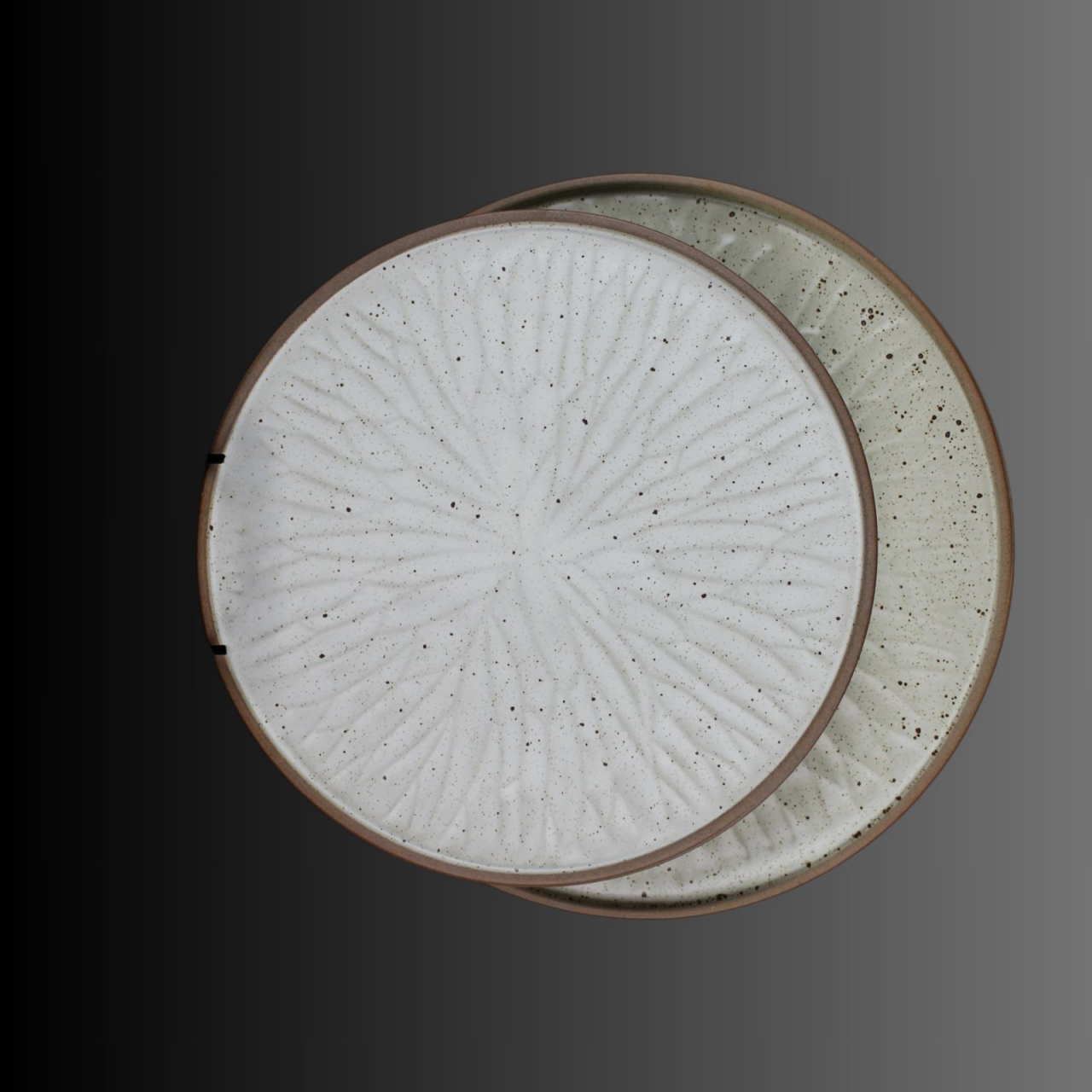 Farfurie porțelan rotundaTerra White [5]