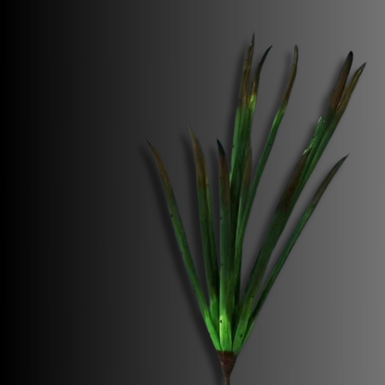 Flori artificiale SPADǍ VERDE [1]