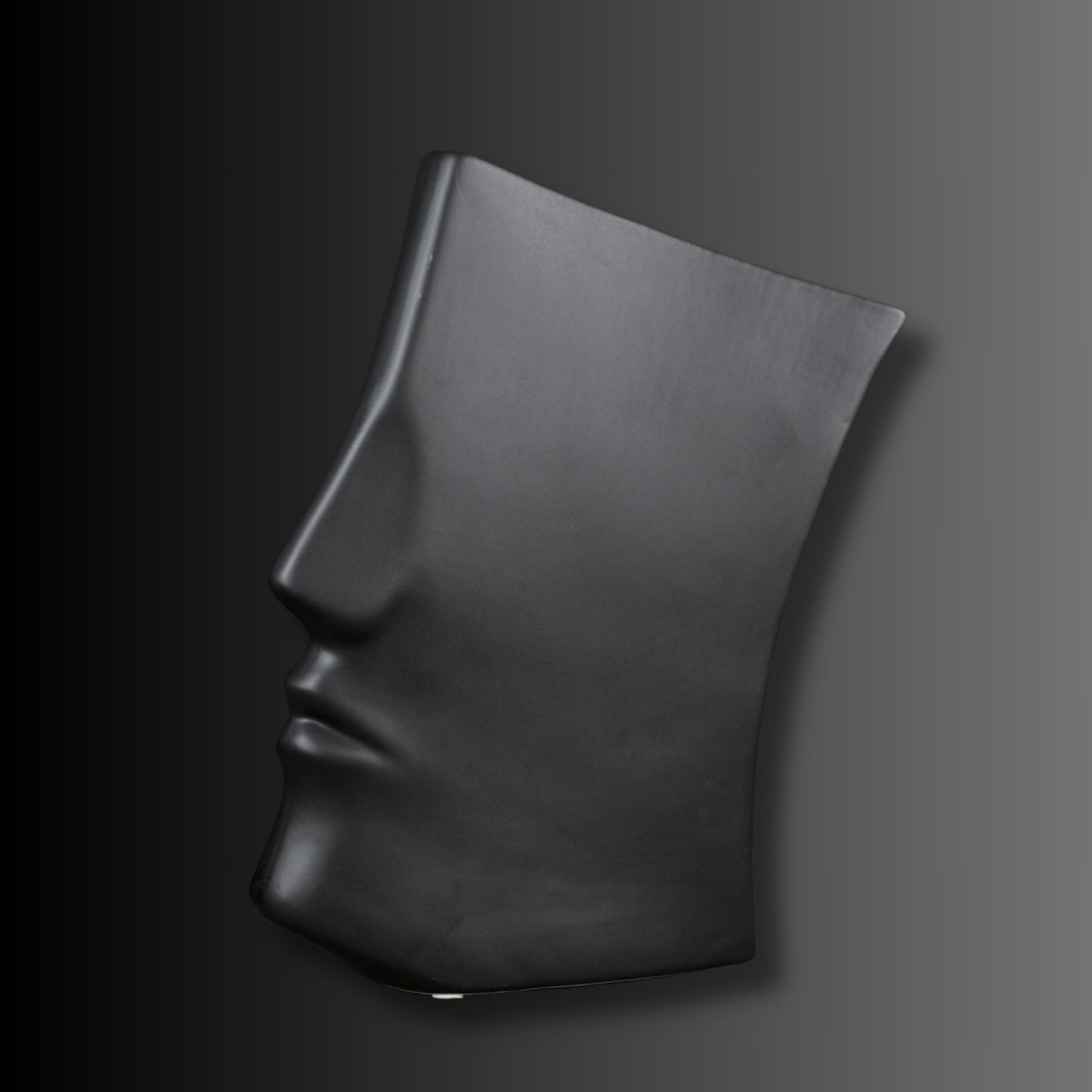 LUCID, vazǎ decorativă chip in profil [4]