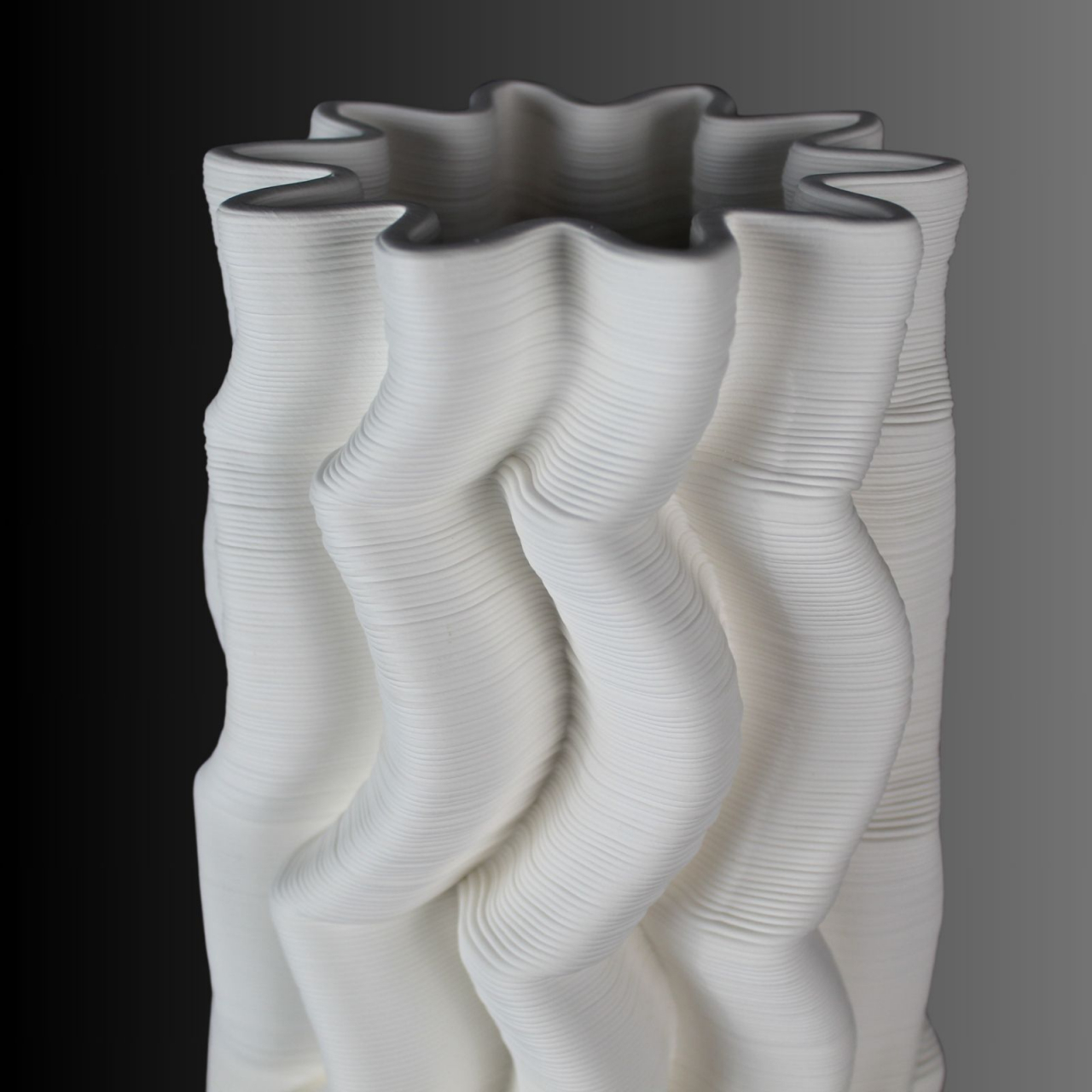 Wave Motion, vaza decorativă 3D [3]