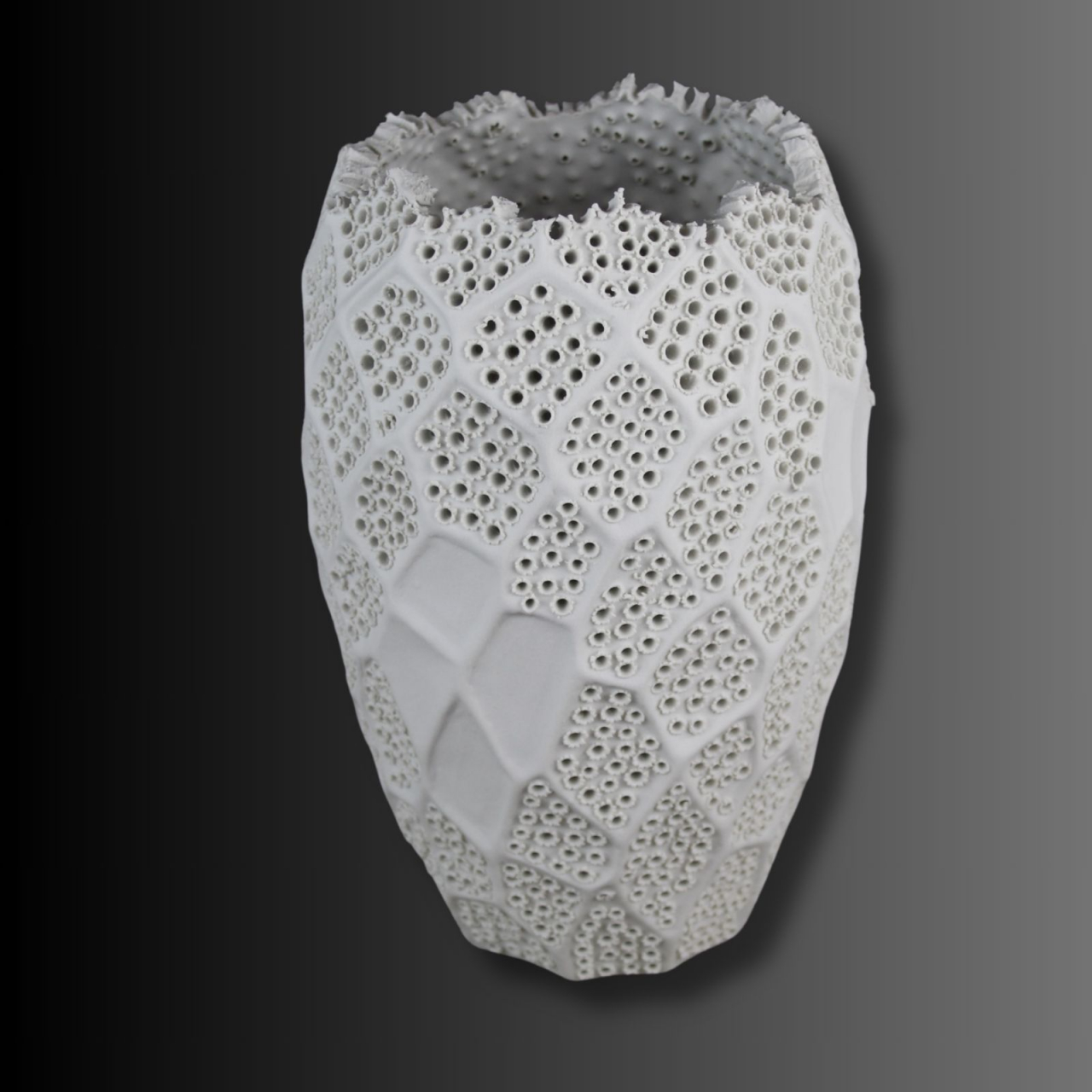 Vazǎ Lace, delicatețea dantelei [3]
