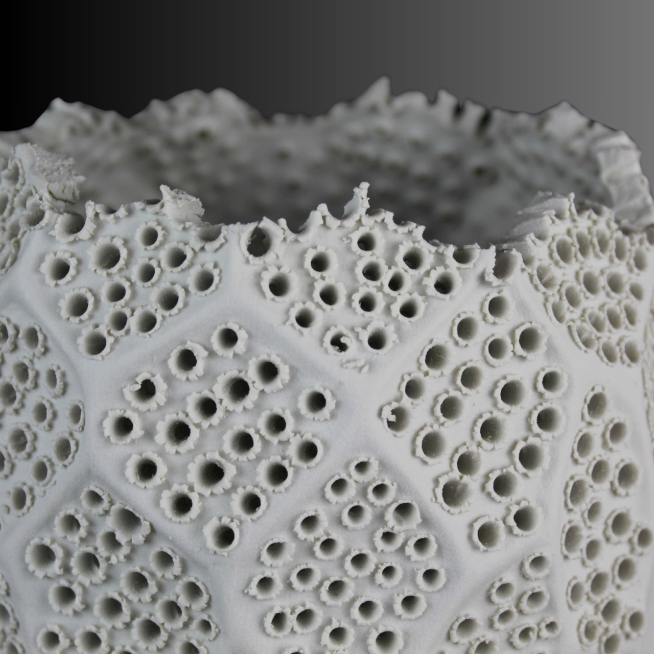 Vazǎ Lace, delicatețea dantelei [4]