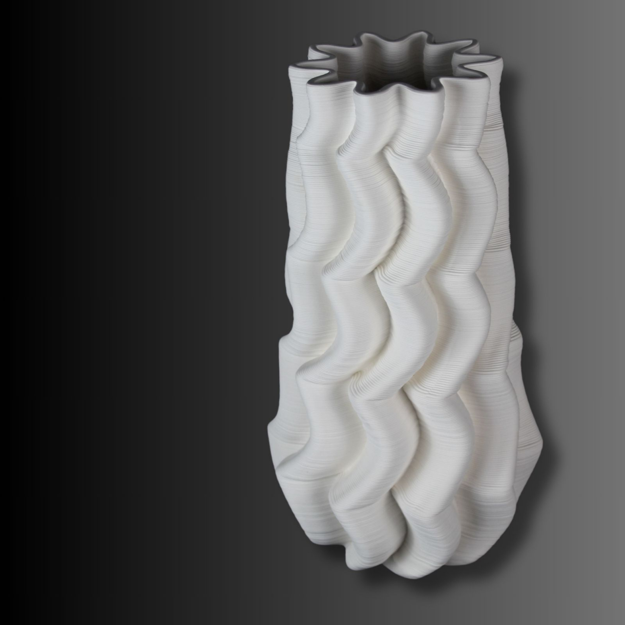 Wave Motion, vaza decorativă 3D [2]