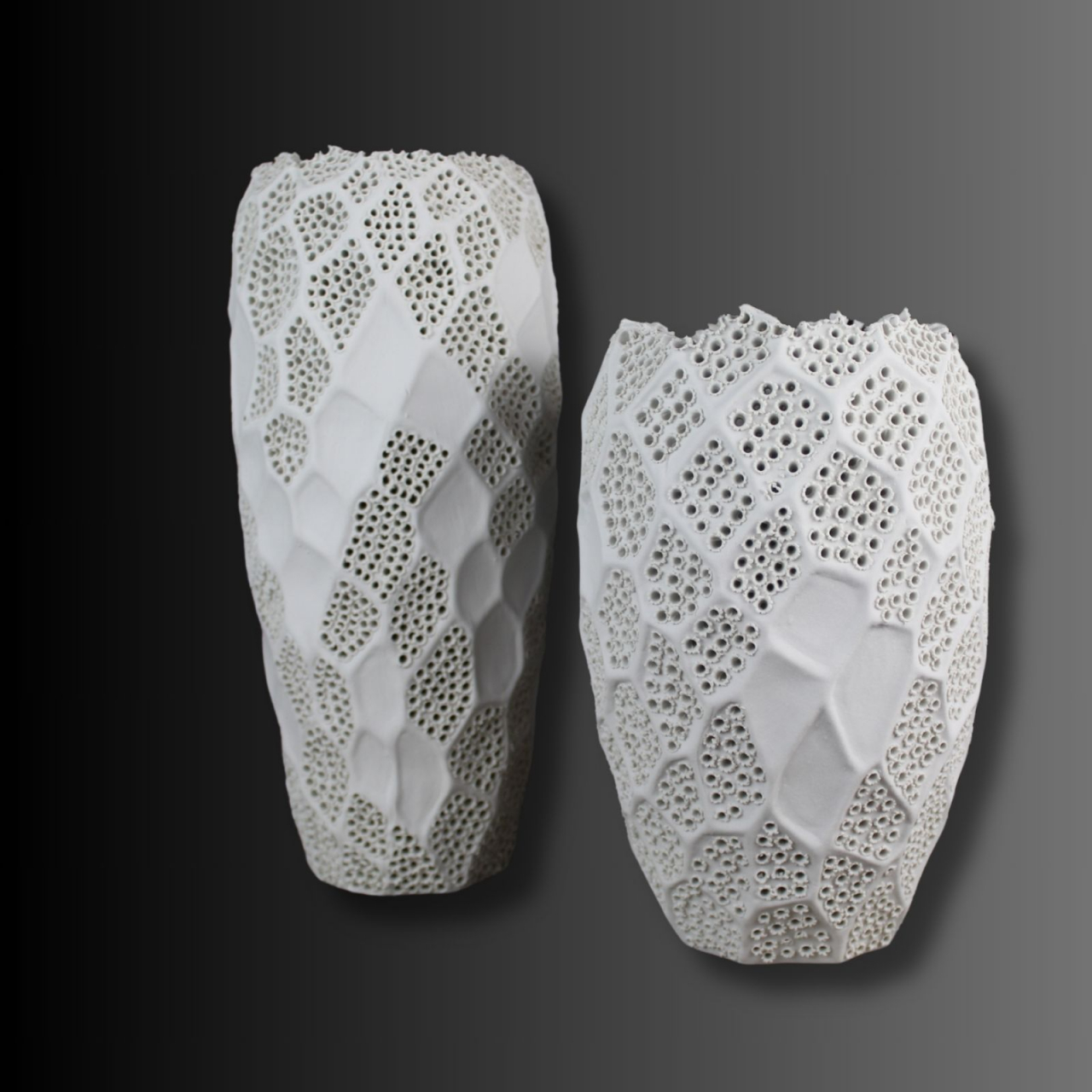 Vazǎ Lace, delicatețea dantelei [5]