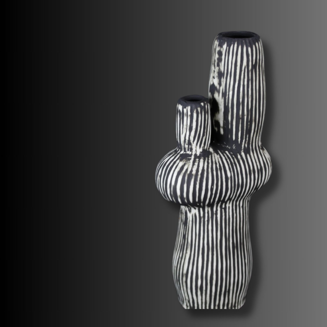 Cactus Noir, vaza decorativă [2]