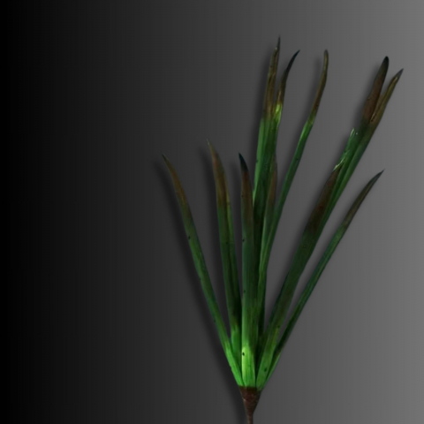 Flori - Flori artificiale SPADǍ VERDE