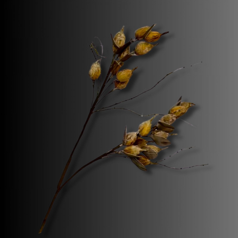 Flori - Flori artificiale GOLDEN BLOOM