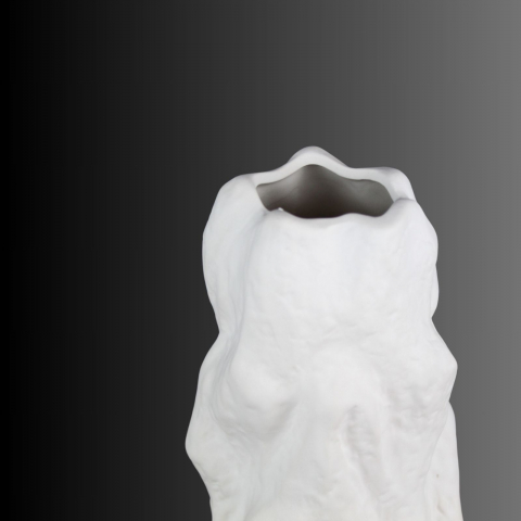 Vazǎ decorativă Sculptura Timpului [2]