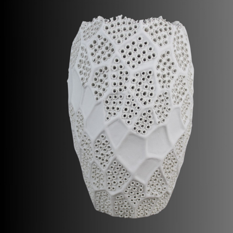 Vazǎ Lace, delicatețea dantelei [1]