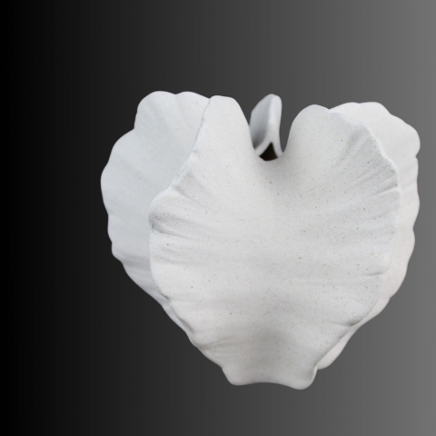 Seashell, vazǎ decorativă [1]