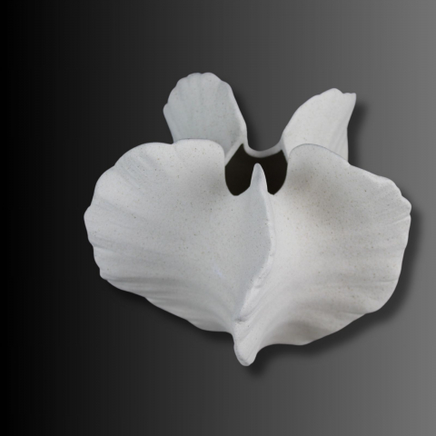 Seashell, vazǎ decorativă [2]