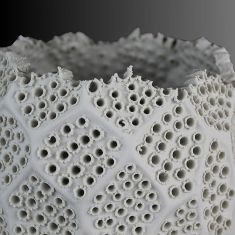 Vazǎ Lace, delicatețea dantelei [3]