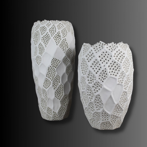 Vazǎ Lace, delicatețea dantelei [4]