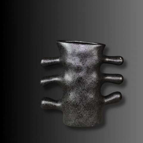 Vaze decorative - Black Coral , vaza neagră cu ramnificatii