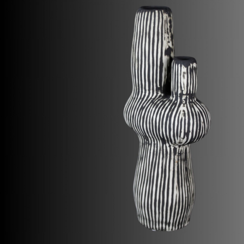 Cactus Noir, vaza decorativă [2]