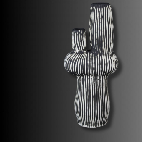 Vaze decorative - Cactus Noir, vaza decorativă