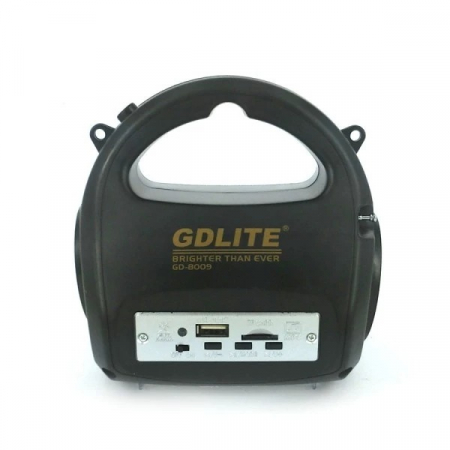 Kit Panou Solar GDLite GD8009 cu Acumulator, USB, Radio si Lumini [2]