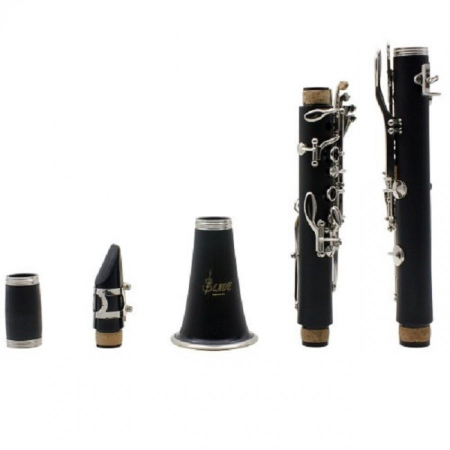 Clarinet 17 Clape si 6 Inele, butoias de rezerva, cutie pentru depozitare inclusa [2]