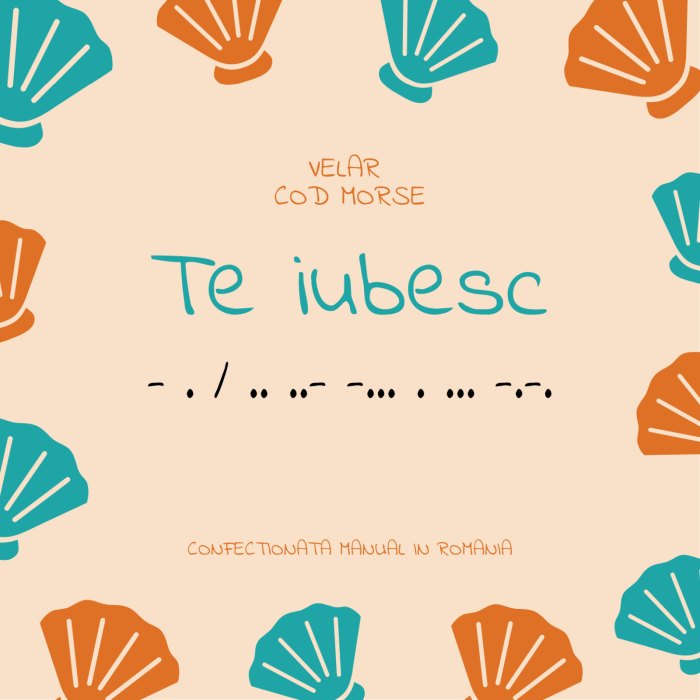 Set Bratari Cuplu Cod Morse Te Iubesc  (Mesaj Ascuns) [5]