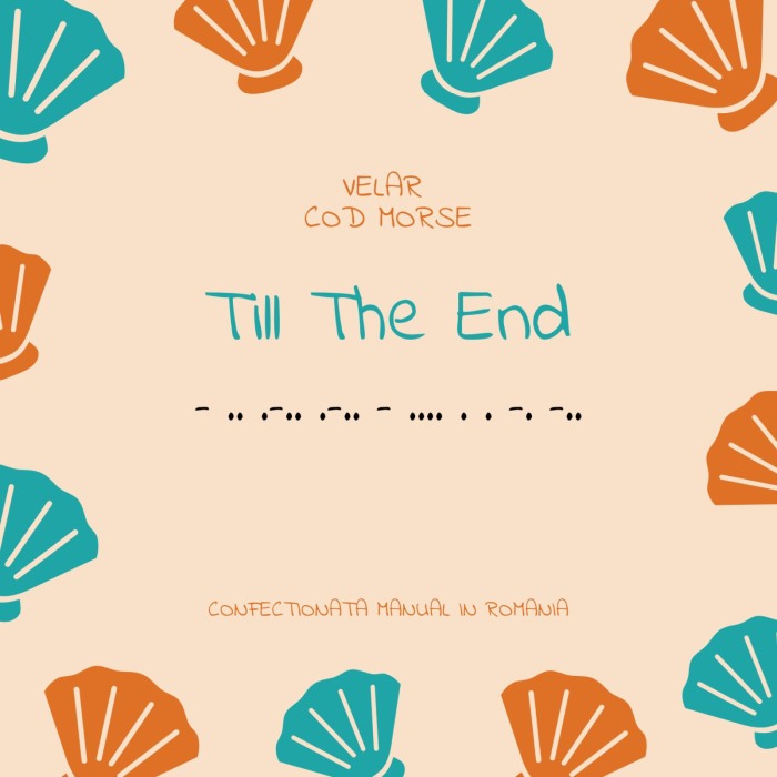Toho Morse Code Bracelet Set - TILL THE END [3]