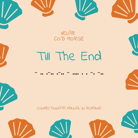 Toho Morse Code Bracelet Set - TILL THE END [2]