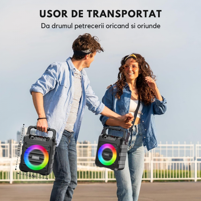 Boxa Portabila VENTART cu 2 Microfoane Wireless, Bluetooth, cu Telecomanda, pentru Karaoke/ Petreceri, cu Lumini, Sistem PA, Suporta Card TF/USB, AUX In, REC, Control Bas si Inalte, Neagra [6]