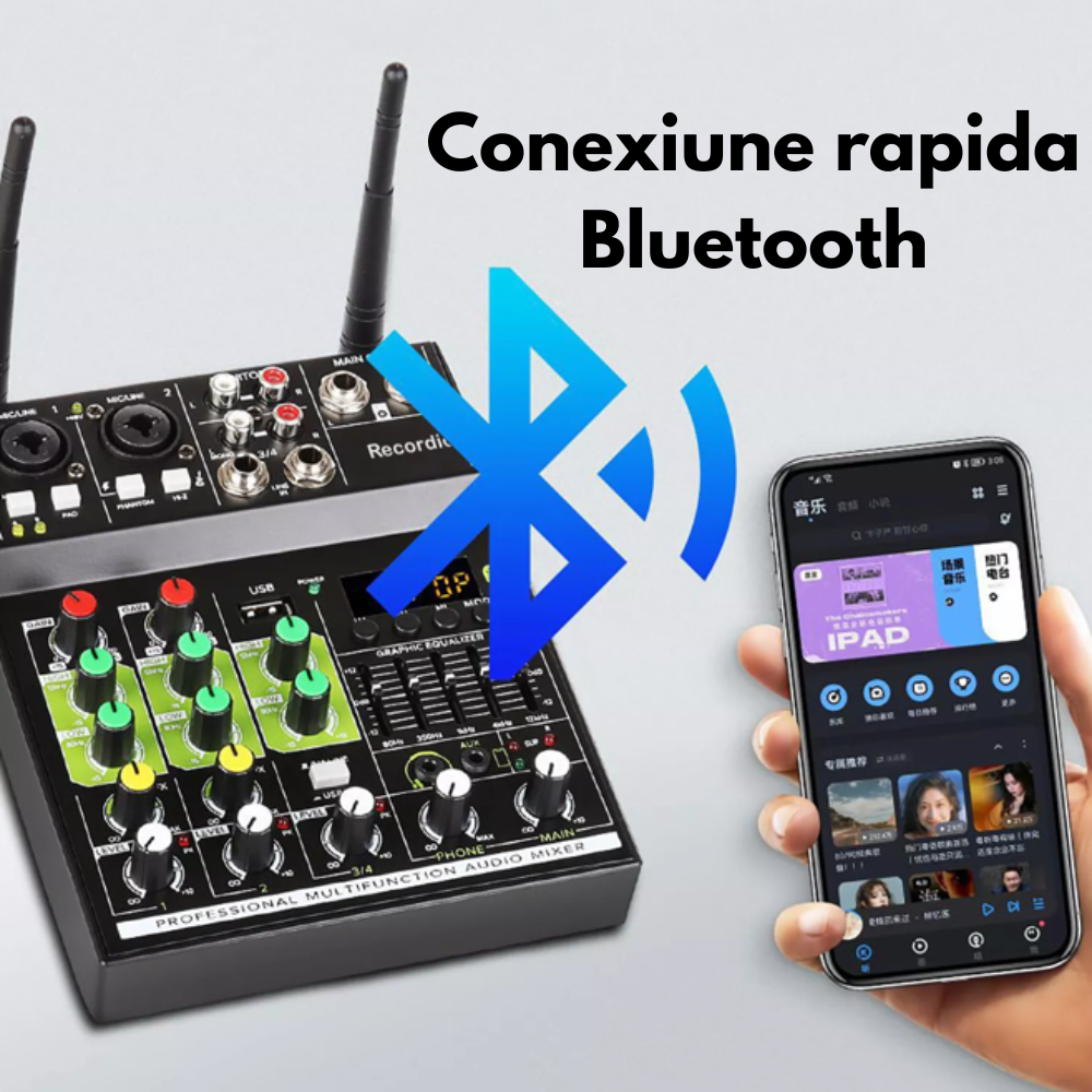 Mixer audio cu 2 microfoane wireless [6]