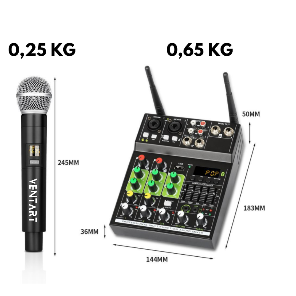Mixer audio cu 2 microfoane wireless [9]