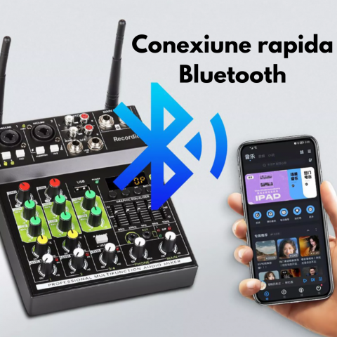 Mixer audio cu 2 microfoane wireless [5]