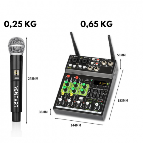 Mixer audio cu 2 microfoane wireless [8]