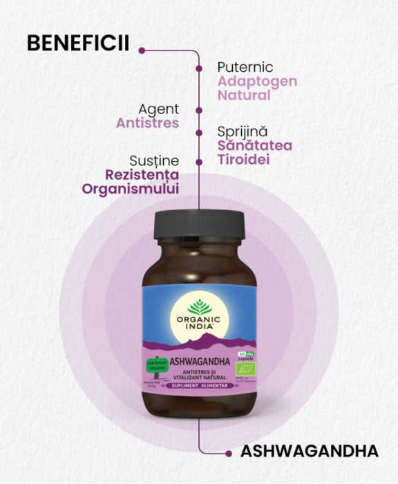 Ashwagandha, Antistres si Energizant Natural, 60 cps [2]