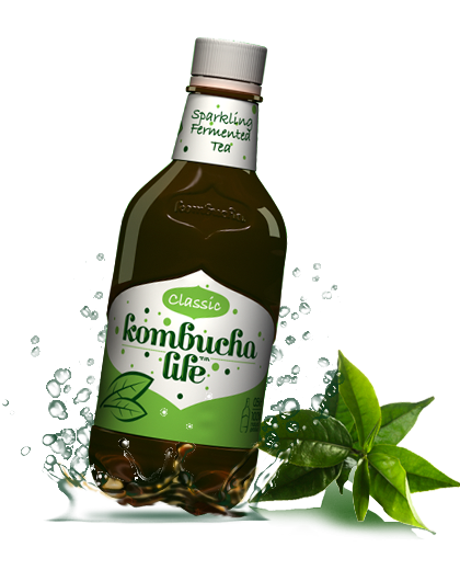 Kombucha Life clasic 500ml [1]