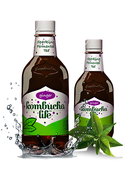 Kombucha Life cu ghimbir 500ml [1]