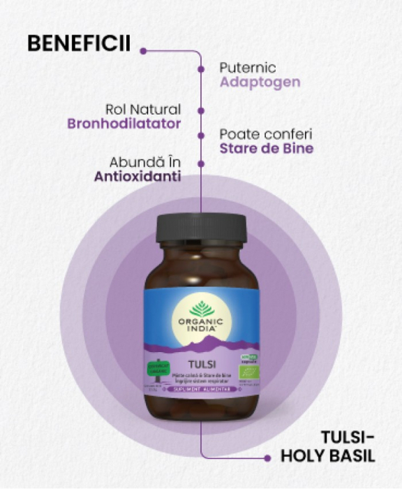Tulsi (Busuioc Sfant) | Minte Calma & Ingrijire Sistem Respirator, 60 capsule [2]